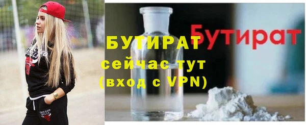 индика Гусь-Хрустальный