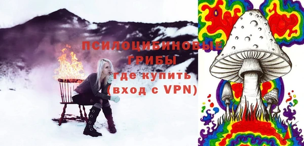 ПСИЛОЦИБИНОВЫЕ ГРИБЫ Дмитровск