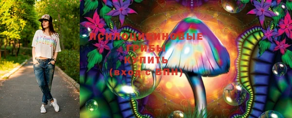 ПСИЛОЦИБИНОВЫЕ ГРИБЫ Дмитровск