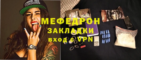индика Гусь-Хрустальный