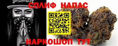 мдпв Обь