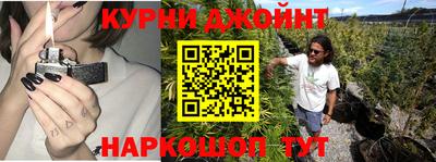 мдпв Обь