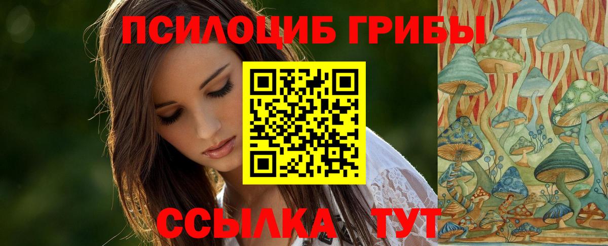 Галлюциногенные грибы прущие грибы  Вход с VPN  Смоленск  Галлюциногенные грибы Psilocybine cubensis 
